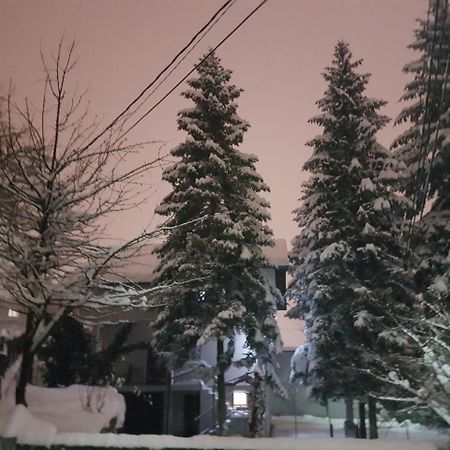 Cosy And Chic... Parking Included Apartment Sarajevo Luaran gambar