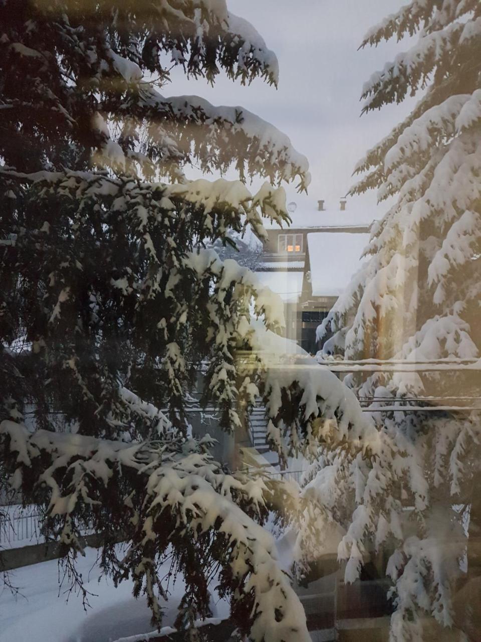 Cosy And Chic... Parking Included Apartment Sarajevo Luaran gambar