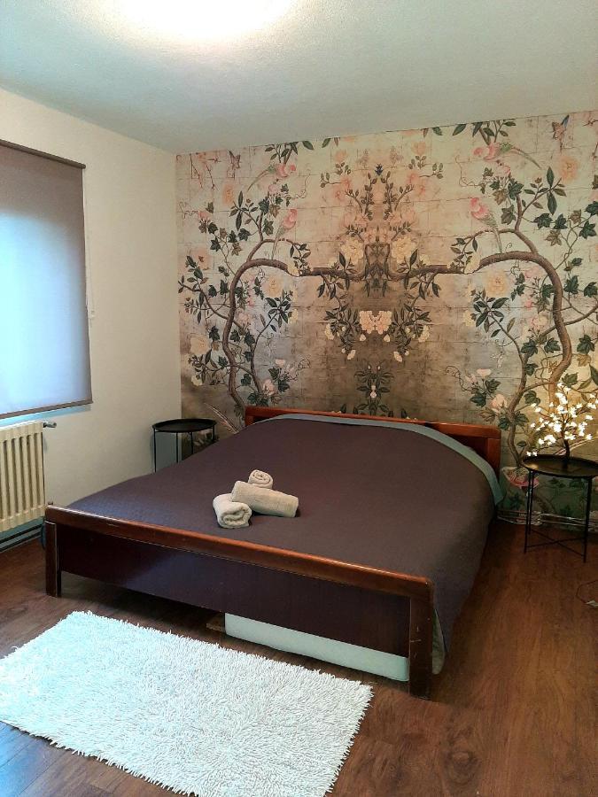 Cosy And Chic... Parking Included Apartment Sarajevo Luaran gambar