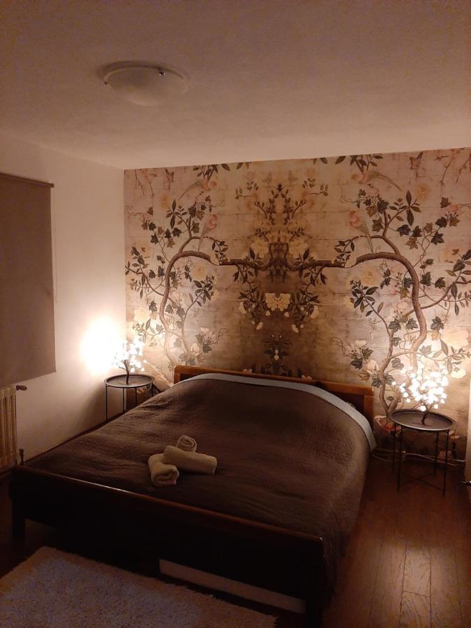 Cosy And Chic... Parking Included Apartment Sarajevo Luaran gambar